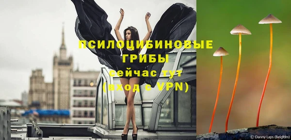 эйфоретик Аркадак