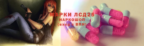 эйфоретик Аркадак
