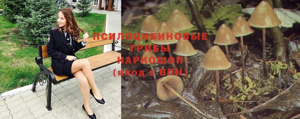 эйфоретик Аркадак